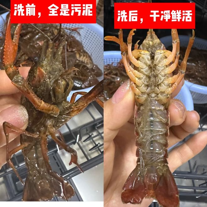 慧”！感觉离谱却解决不少生活痛点爱游戏app看了年轻人的“生活智(图24)