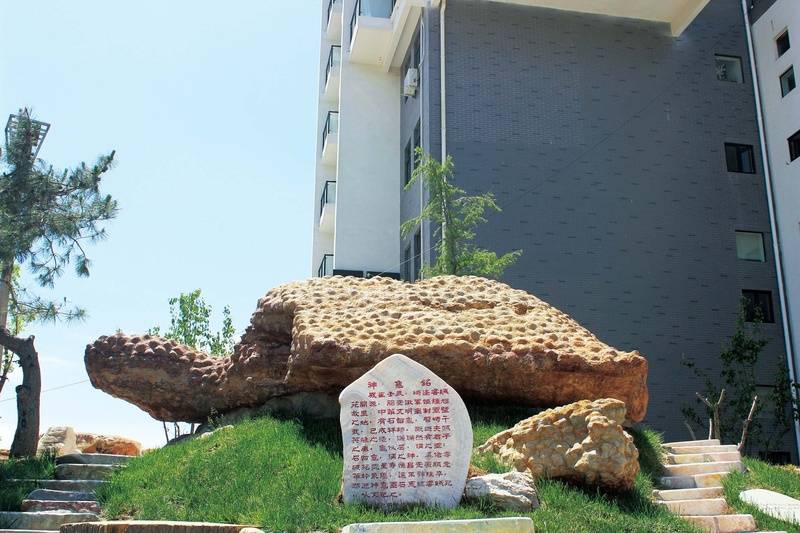 家北京友谊城心社区城心养老服务特色解析2026最新ayx爱游戏app北京阿尔茨海默病专护社区大家的(图6)