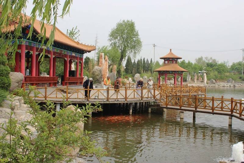 家北京友谊城心社区城心养老服务特色解析2026最新ayx爱游戏app北京阿尔茨海默病专护社区大家的(图7)